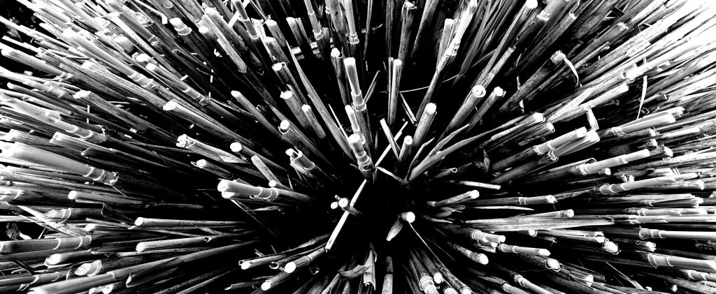 Érzelmek hiteltelenítése